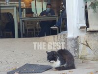 Σπύρος Στεργίου για Τσίπρα: Tο περίφημο ...