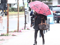 Καιρός – Τσατραφύλλιας: Bροχές, χιόνια κ...