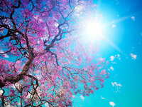 Ευχές αγάπης από όλους εμάς για όλους εσάς