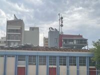 Λάρισα: Ζημιές και πτώσεις δέντρων εξαιτ...