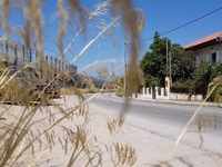 Ηχηρό "όχι" σε εξωδικαστικό συ...