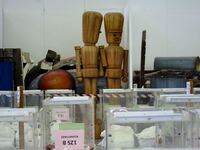 Στο πόδι 514 εργαζόμενοι του Δήμου Πατρέ...