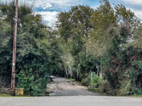 Μεσσηνία: Κοντά στη σύλληψη του δράστη- ...