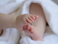 Χαλκιδική: Από ξηρό καρπό πνίγηκε το 13 ...