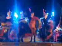 Πάτρα: Οι ΣΦήγΚΕΣ ξανα...τσίμπησαν!- Νέο...