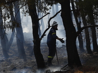Γλυκά Νερά: Τέσσερις προσαγωγές για τη φ...