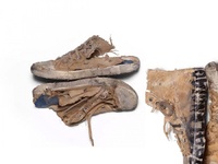 Χλευασμός της φτώχειας ή νεκρή φύση; Εξο...