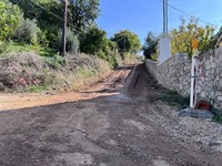 Πάτρα: 20 οικογένειες χρειάζονται τρακτέ...