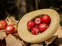 Αδυνάτισμα: Οι τροφές που θα σου κόψουν την όρεξη