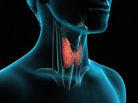 Τα συμπτώματα για τον καρκίνο του θυρεοειδούς