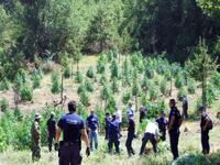 Αστυνομικοί της Πάτρας πήγαν στην Αττική...