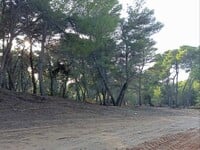 ΟΙΚΙΠΑ: Το πρόγραμμα antinero βλάπτει σο...
