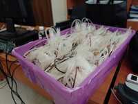 Εθελοντική αιμοδοσία της 6ης ΥΠΕ στη Βιο...