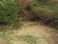 Ολοκληρώθηκε ο καθαρισμός των 2 ρεμάτων ...