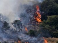 Φωτιά στη Σκόπελο - Επιχειρούν επίγειες ...