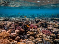 Κλίμα: Η γη έχει φτάσει στο πρώτο καταστ...