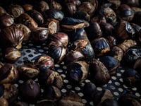 Ο πιο εύκολος τρόπος να ξεφλουδίζουμε τα κάστανα