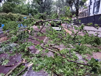 Σπασμένα δέντρα, σπίτια χωρίς ρεύμα, απε...