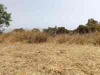 Πάτρα: Από 1η Απρίλη οι πολίτες καλούντα...