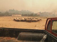 Περιφερειακή Ένωση Δήμων Δυτικής Ελλάδας...