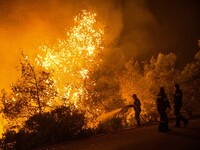 Εύβοια: Με μπουλντόζες σταμάτησαν τη φωτ...