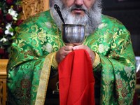 Νοσοκομειακοί Γιατροί για Γιαμαρέλλου: Π...