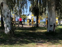 Συνεχίζονται οι βόλτες σε μαρίνα και Νότ...