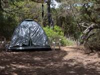 Ανεμοστρόβιλος στο Γιαννιτσοχώρι Ηλείας ...