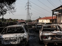 Αχαϊα: Που και πώς μπορείτε να παράσχετε...