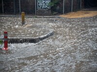 Καλλιάνος: Έρχονται 100 δύσκολες ώρες- Π...