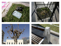 Τσιμεντώνουν τα δέντρα της πλατείας Γεωρ...