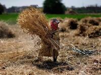 Θα πούμε το ψωμί ψωμάκι; Πώς η κρίση Ρωσ...