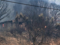 ΝΕ ΠΑΣΟΚ Αχαΐας: «Αχαΐα Pass, αλλά αλήθε...