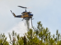 Αχαΐα: Συνελήφθη ένας άνδρας για την πυρ...