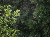 Κακοκαιρία: Απεγκλωβίστηκε οικογένεια, κ...