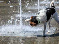 Καυτό το φετινό καλοκαίρι: Πότε έρχεται ...
