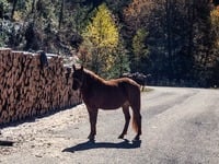Θεσσαλονίκη: Μαθητής δέχτηκε επίθεση από...