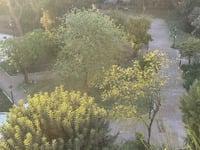 Μεγάλη Παρασκευή στην πλατεία Όλγας: Η «...