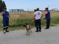 Κως: "Σκανάρουν" το νησί για τ...