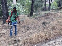 Δήμος Πατρέων: Υποχρεωτικός καθαρισμός ο...