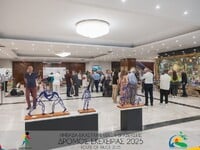 Η Συμπολιτεία Ολυμπίας τίμησε τα μαχητικ...