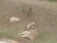 Ζίτσα: Παύεται ο αντιδήμαρχος που κατηγο...