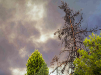 Πάτρα: Τι λέει ο πατέρας του 21χρονου πο...