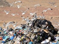 Στα δικαστήρια για τον ΧΥΤΑ στην Ξερόλακα 