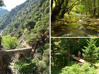 1st NAFPAKTIA RUNNING: Oρεινό τρέξιμο στ...