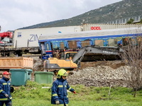 Σύγκρουση τρένων: Κοινό πόρισμα των ιατρ...