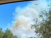 Πάτρα: Η δημοτική αρχή στο μέτωπο της πυ...