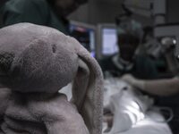 Καραμανδάνειο: Οκτώ με δέκα  ακυρώσεις τ...