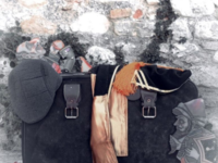 Λύκειο των Ελληνίδων: «Οδύσσεια '22 ...σ...