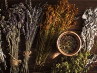 Άνοια: Το Νο1 βότανο που μειώνει τον κίν...
